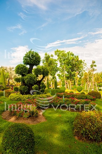 Park / outdoor royalty free stock image #464049318