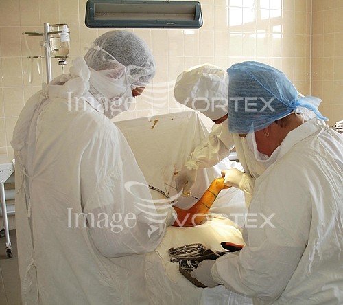 Health care royalty free stock image #465747981