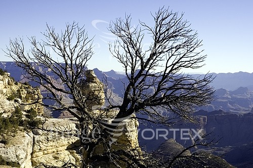 Nature / landscape royalty free stock image #472159424