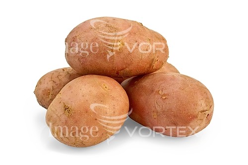 Food / drink royalty free stock image #475922713