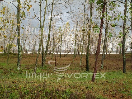 Nature / landscape royalty free stock image #475645762