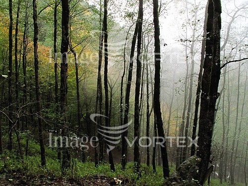 Nature / landscape royalty free stock image #475766958