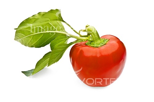 Food / drink royalty free stock image #476919419