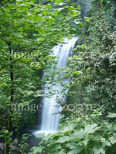 Nature / landscape royalty free stock image #480425677