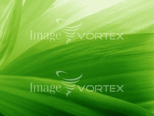 Background / texture royalty free stock image #481074892