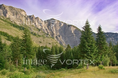 Nature / landscape royalty free stock image #482451553