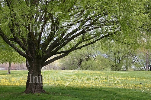 Park / outdoor royalty free stock image #483893124