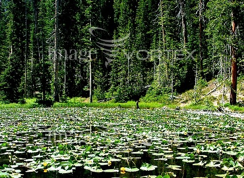 Nature / landscape royalty free stock image #485023592
