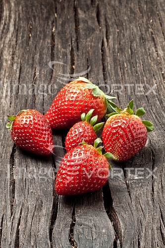 Food / drink royalty free stock image #491518923