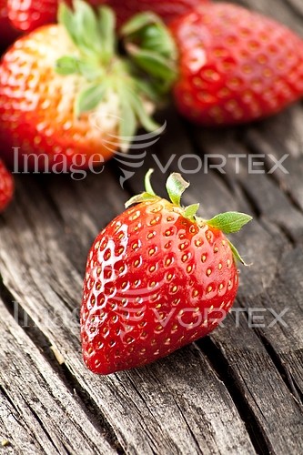 Food / drink royalty free stock image #491480079