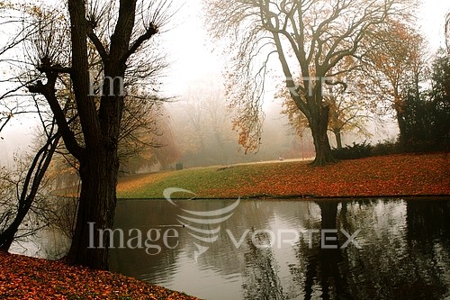 Park / outdoor royalty free stock image #496261945