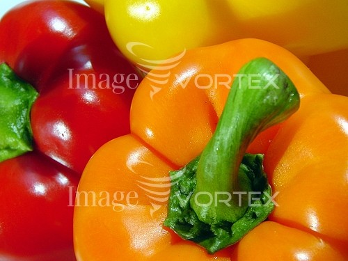 Food / drink royalty free stock image #497996856