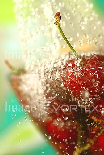 Food / drink royalty free stock image #516809307