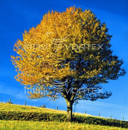 Nature / landscape royalty free stock image #518274229