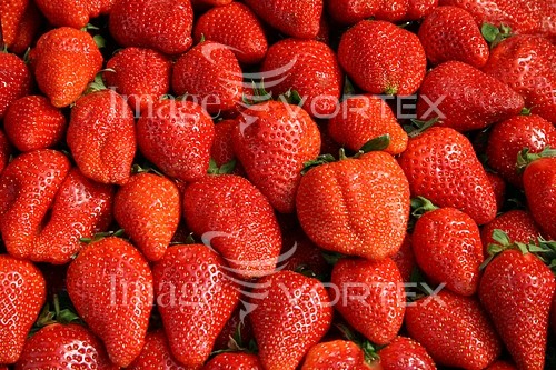 Food / drink royalty free stock image #521602177