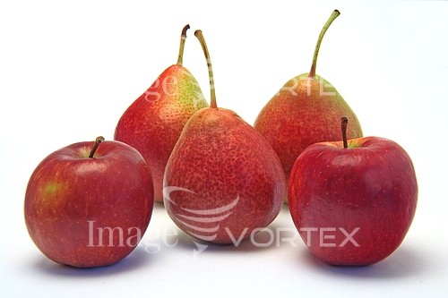 Food / drink royalty free stock image #522082176