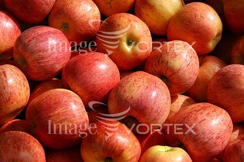 Food / drink royalty free stock image #523694464