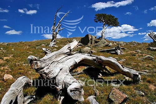 Nature / landscape royalty free stock image #526735900