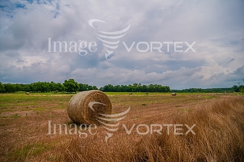 Industry / agriculture royalty free stock image #528543209