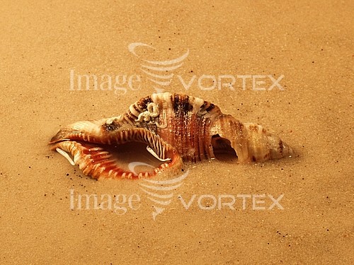 Nature / landscape royalty free stock image #531673765