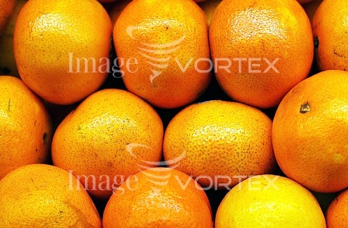 Food / drink royalty free stock image #532587098
