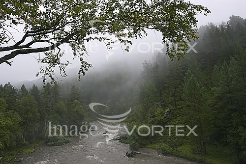 Nature / landscape royalty free stock image #536850662