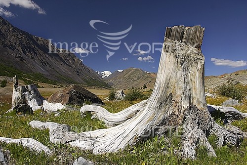 Nature / landscape royalty free stock image #536810146