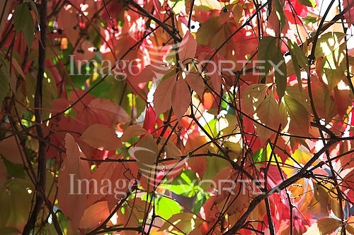 Background / texture royalty free stock image #538911328
