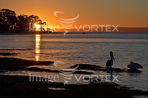 Sunset / sunrise royalty free stock image #541590892