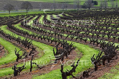 Industry / agriculture royalty free stock image #541756270
