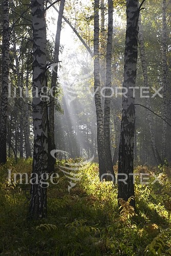 Nature / landscape royalty free stock image #543129923