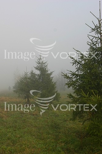 Nature / landscape royalty free stock image #544306173