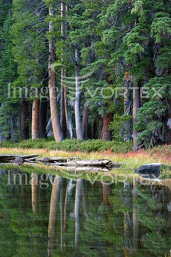 Nature / landscape royalty free stock image #545467294