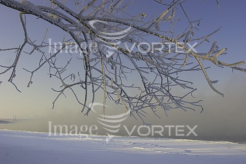 Nature / landscape royalty free stock image #545202742