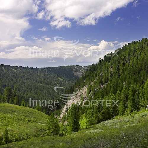 Nature / landscape royalty free stock image #546775484