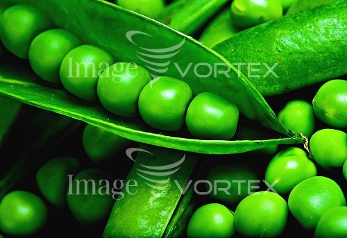 Food / drink royalty free stock image #550721392