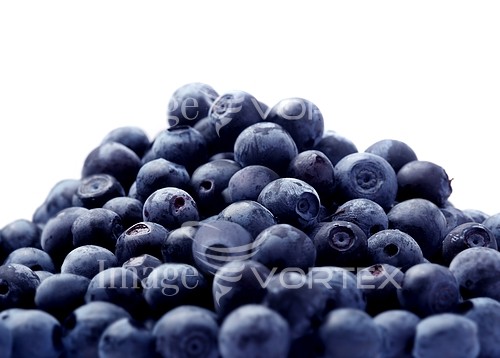 Food / drink royalty free stock image #558060714