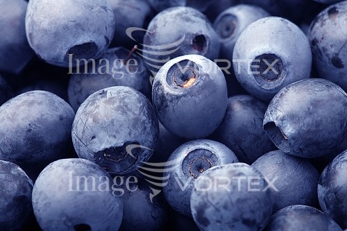 Food / drink royalty free stock image #558152657