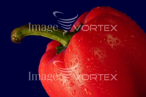 Food / drink royalty free stock image #560972565