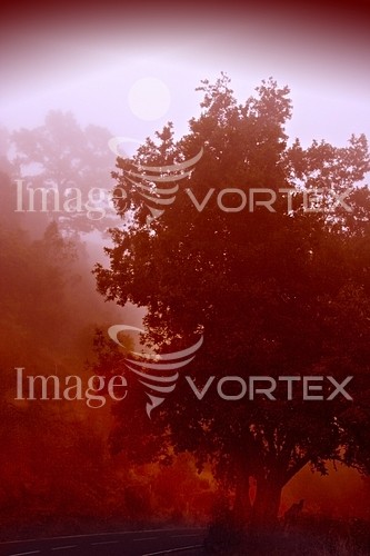 Nature / landscape royalty free stock image #560256955