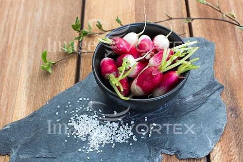 Food / drink royalty free stock image #568056208
