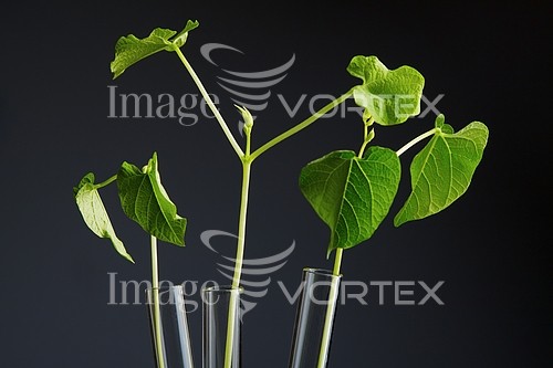 Industry / agriculture royalty free stock image #572591555