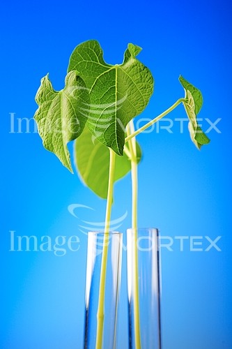 Industry / agriculture royalty free stock image #572566697
