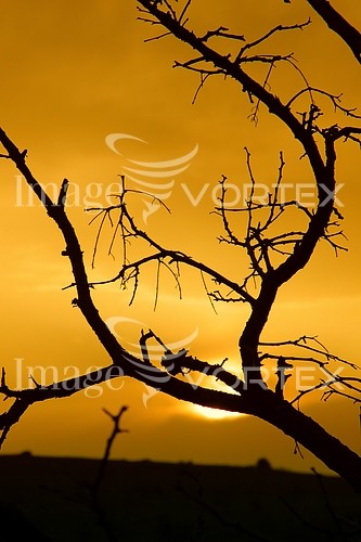 Sunset / sunrise royalty free stock image #574013543