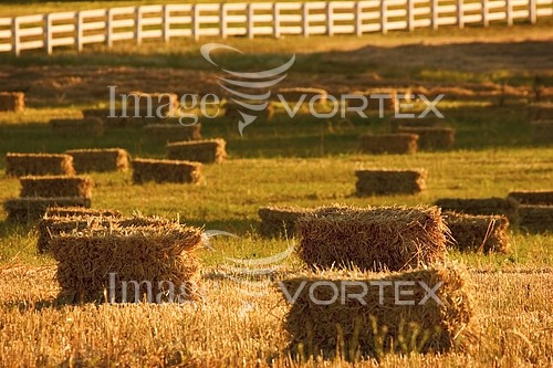 Industry / agriculture royalty free stock image #579175585