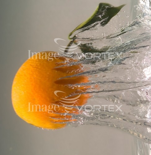 Food / drink royalty free stock image #583744401