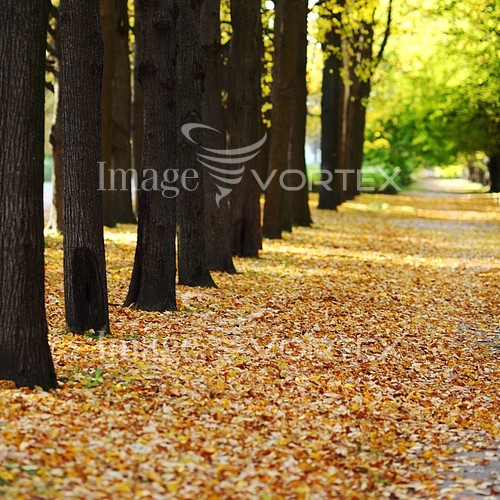 Park / outdoor royalty free stock image #587151626