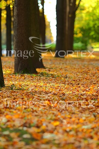 Park / outdoor royalty free stock image #590631736
