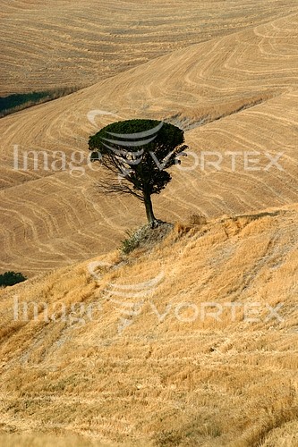 Industry / agriculture royalty free stock image #591859462