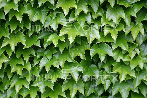 Background / texture royalty free stock image #596897794